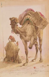 Arabe en prière avec un chameau attaché